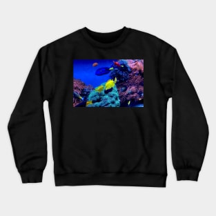 Aquarium Fish Crewneck Sweatshirt